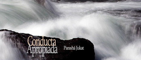 Conducta Apropiada
